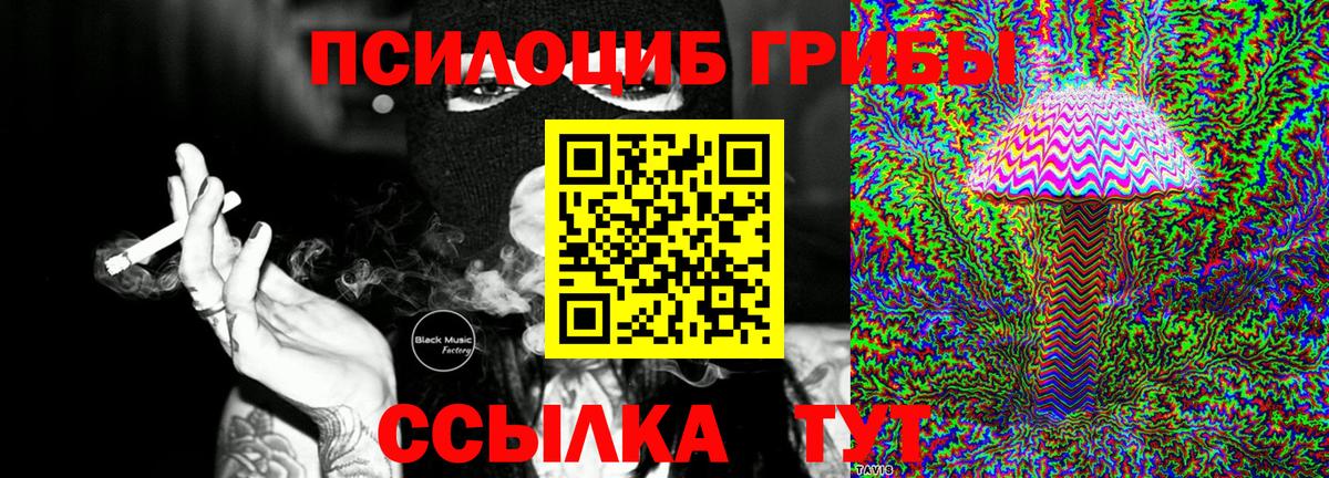 Псилоцибиновые грибы мицелий Красный Сулин