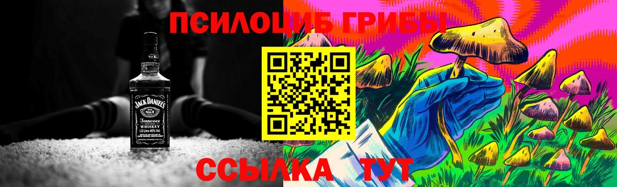 Галлюциногенные грибы Magic Shrooms  где купить наркотик  Красный Сулин  Вход с VPN  Псилоцибиновые грибы Cubensis 
